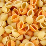 Conchiglie en salades de pâtes