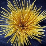 spaghetti types de pâtes longues